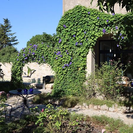 Aux Pots Bleus Bed & Breakfast Nissan-lez-Enserune ภายนอก รูปภาพ